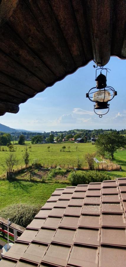Nature Chalet Thollon-les-Memises